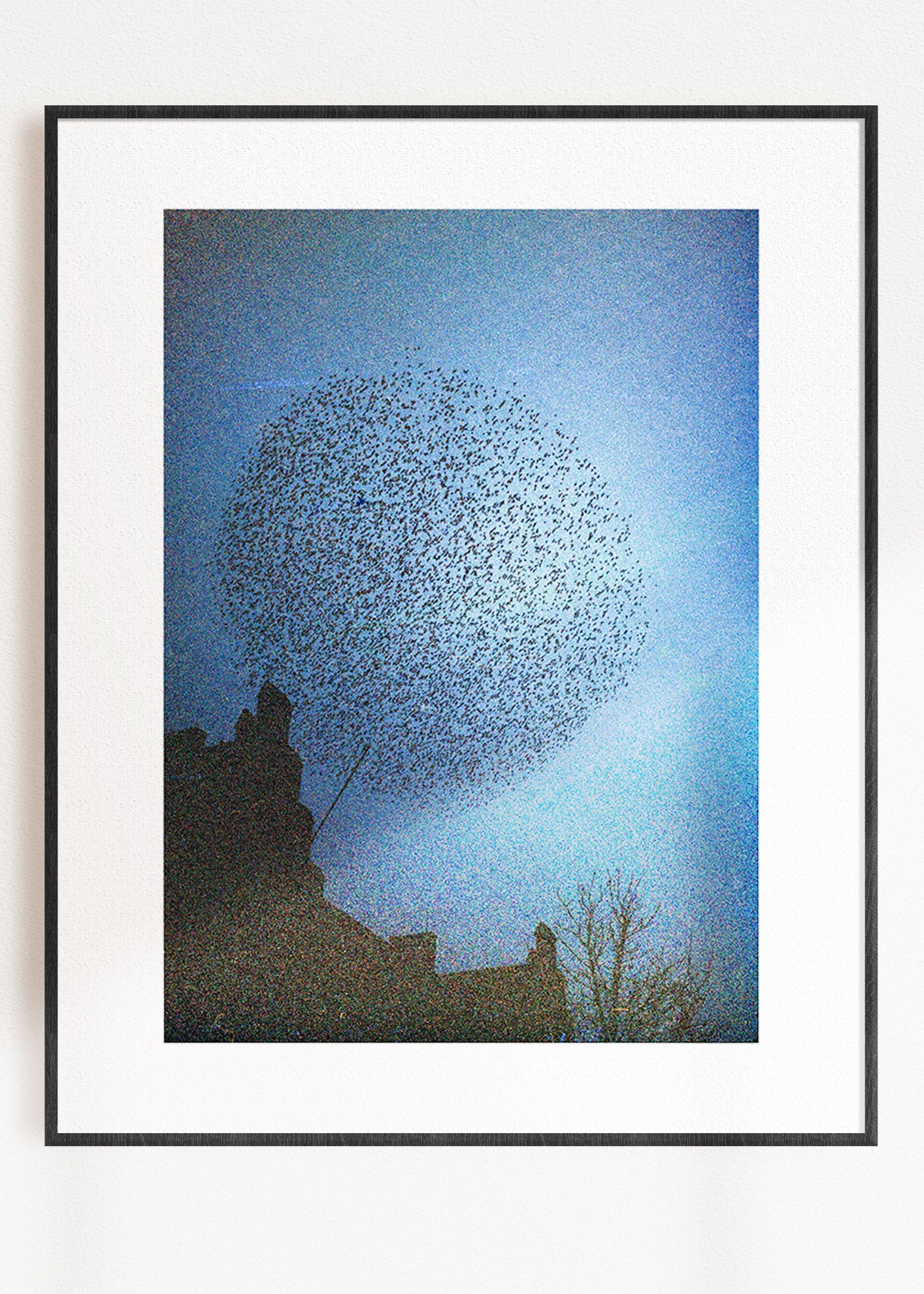 Art Print "Murmuration"