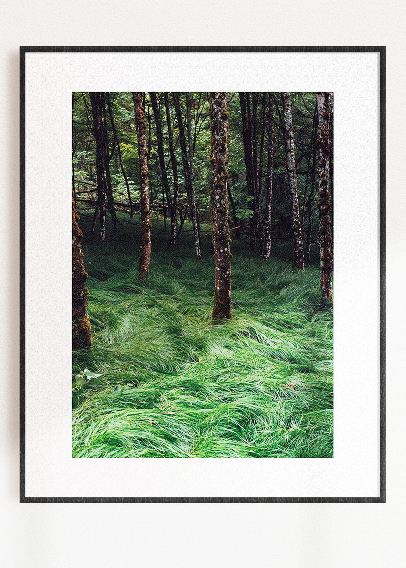 Art Print "Enchanted Grove 2"