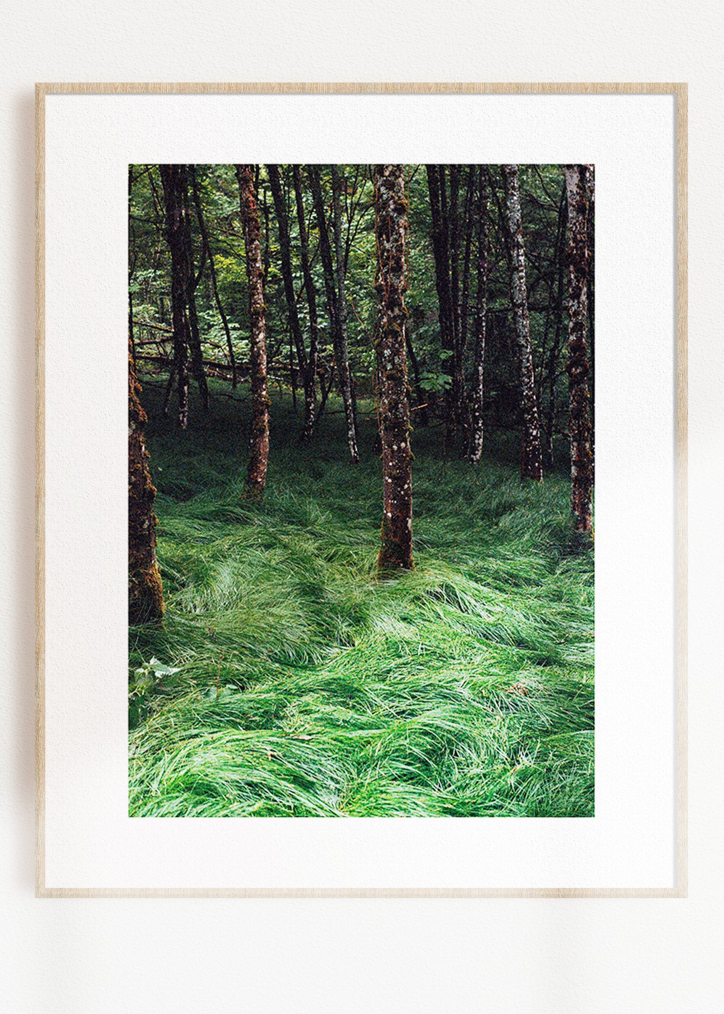 Art Print "Enchanted Grove 2"