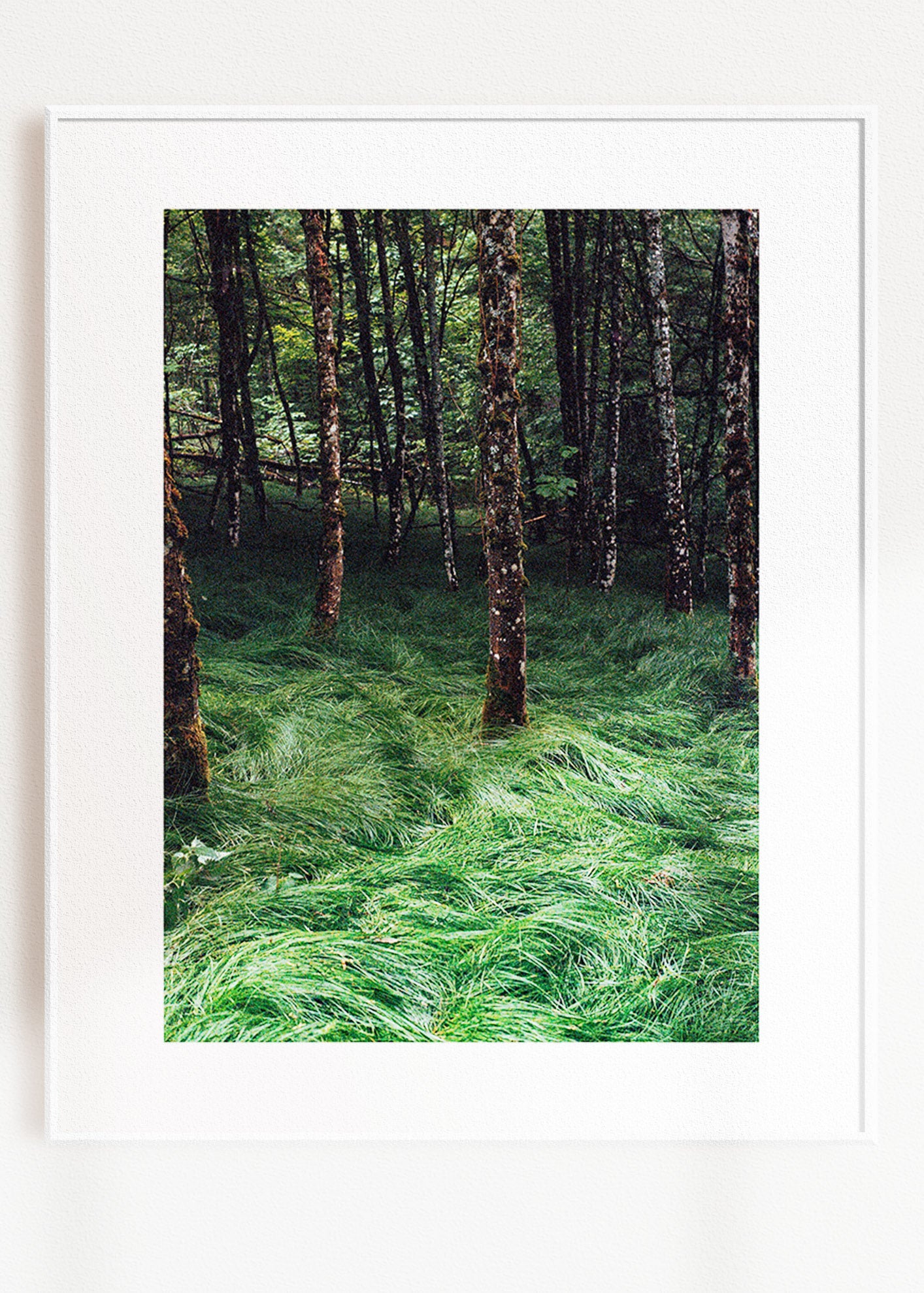Art Print "Enchanted Grove 2"