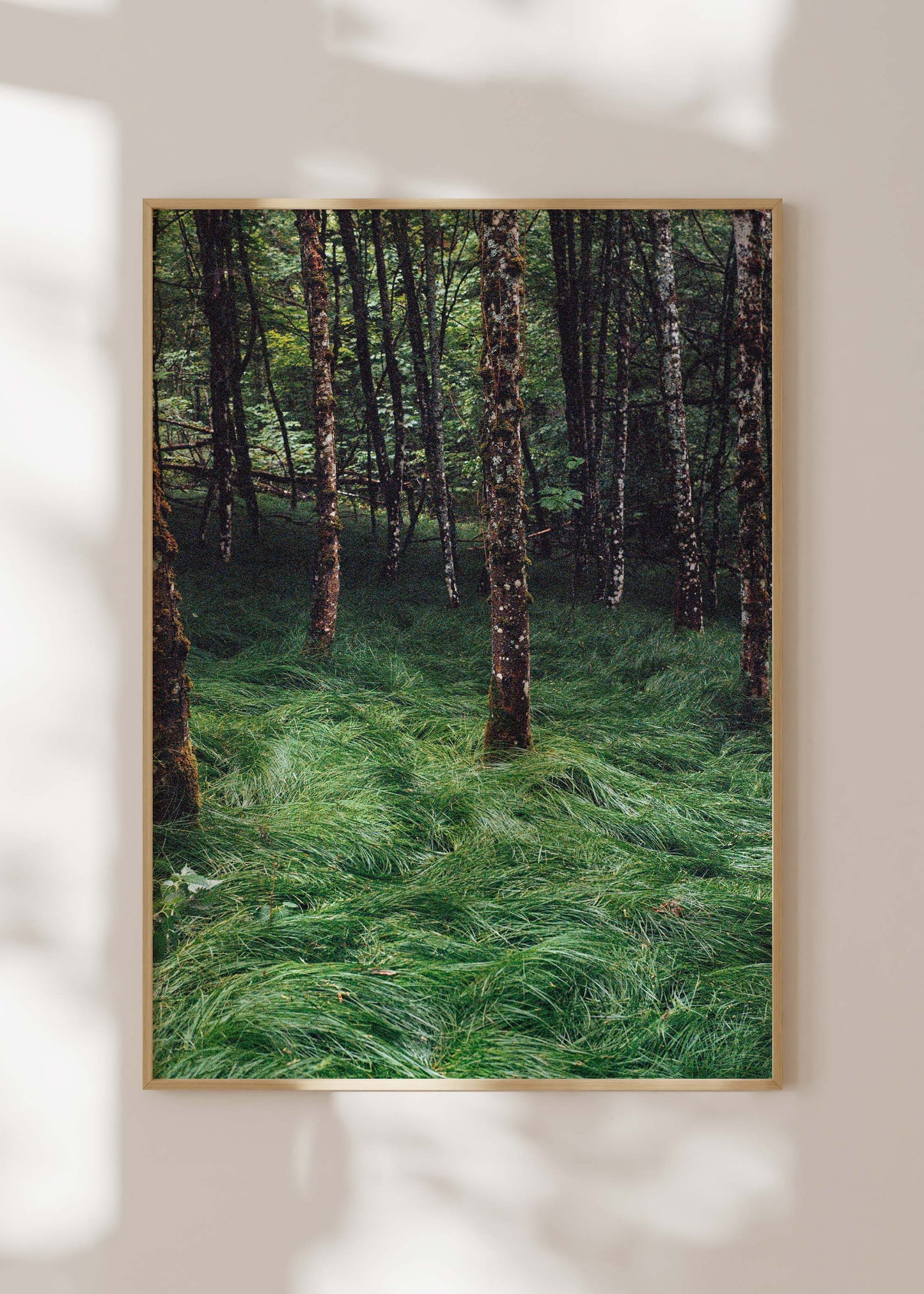 Art Print "Enchanted Grove 2"