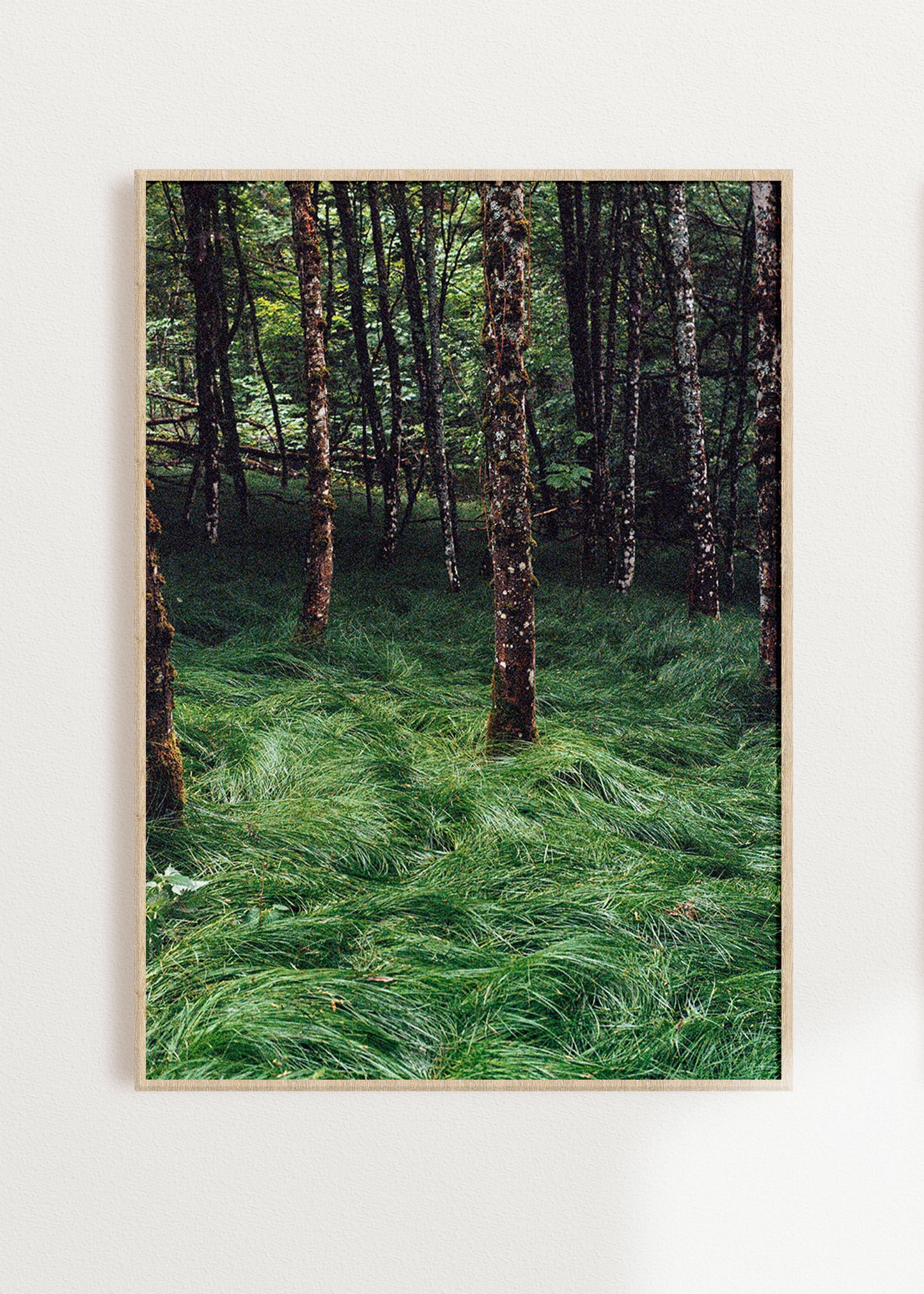 Art Print "Enchanted Grove 2"