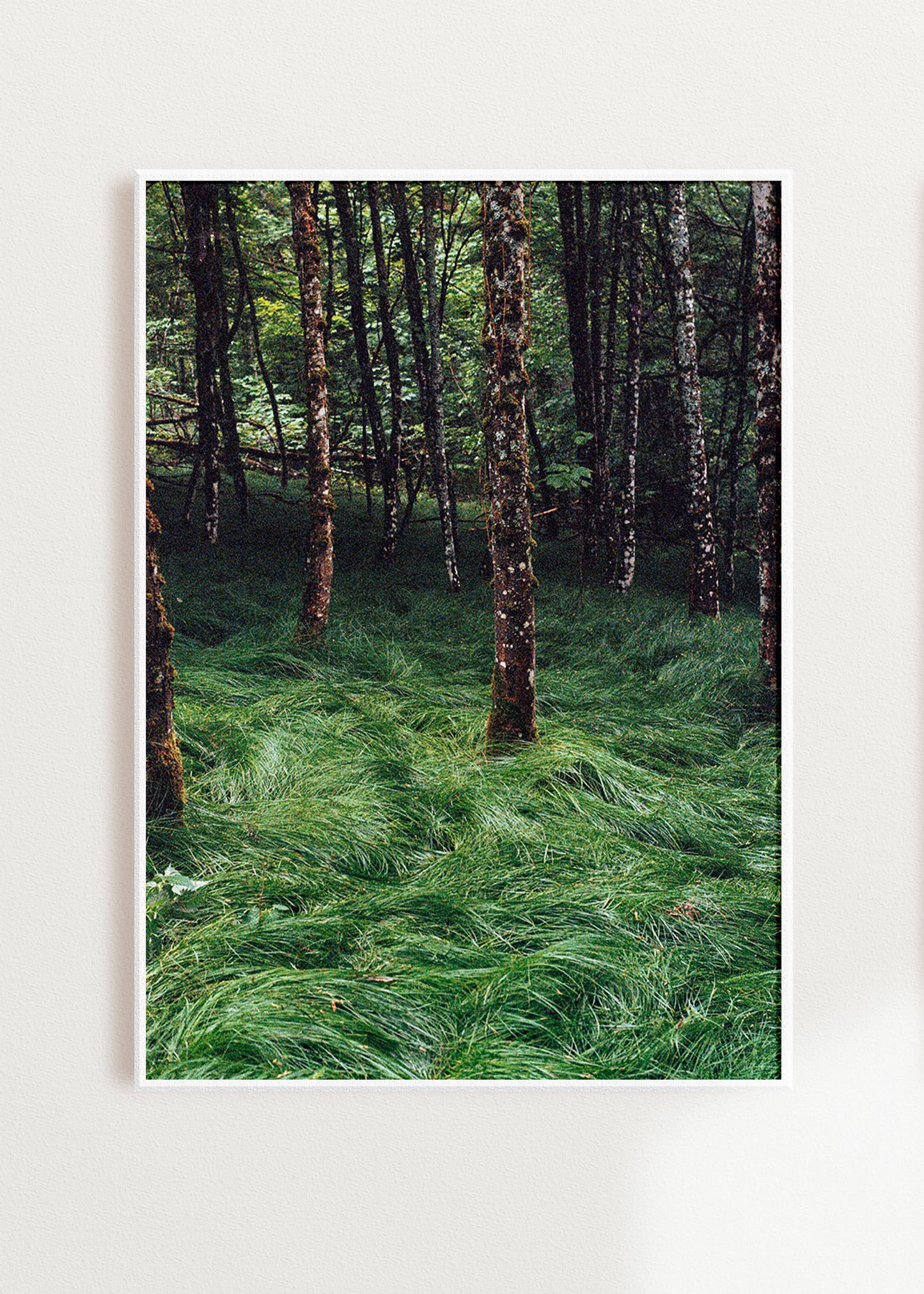 Art Print "Enchanted Grove 2"